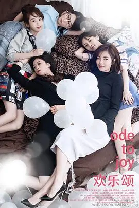 欢乐颂2016 海报